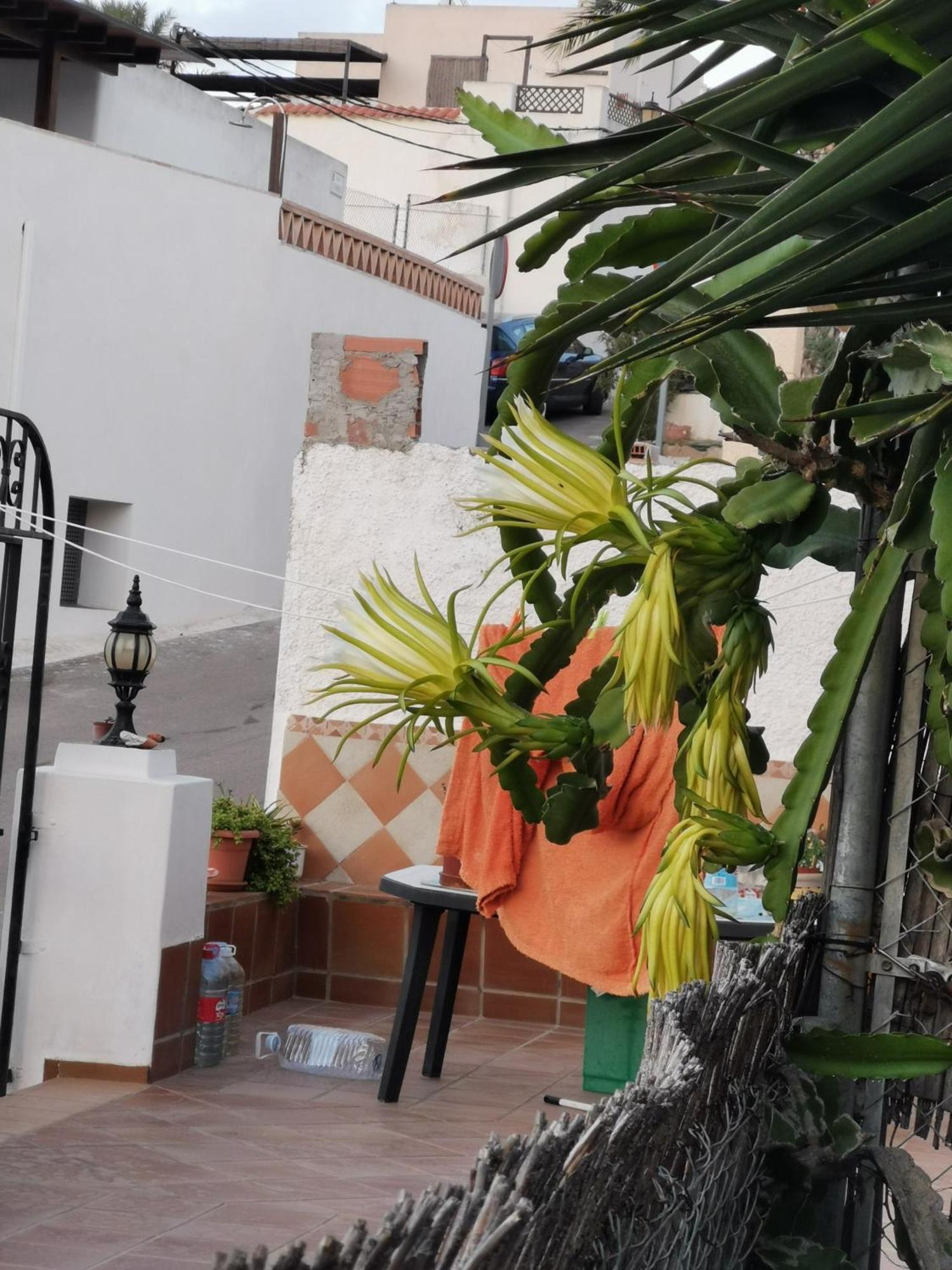Vivienda Rural En Cabo De Gata Apartment El Pozo de los Frailes Exterior photo
